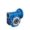 RV Series - Worm Gear Motor