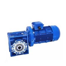 RV Series - Worm Gear Motor