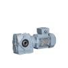 S Series - Helical Worm Gear Motor